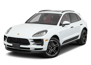 Macan