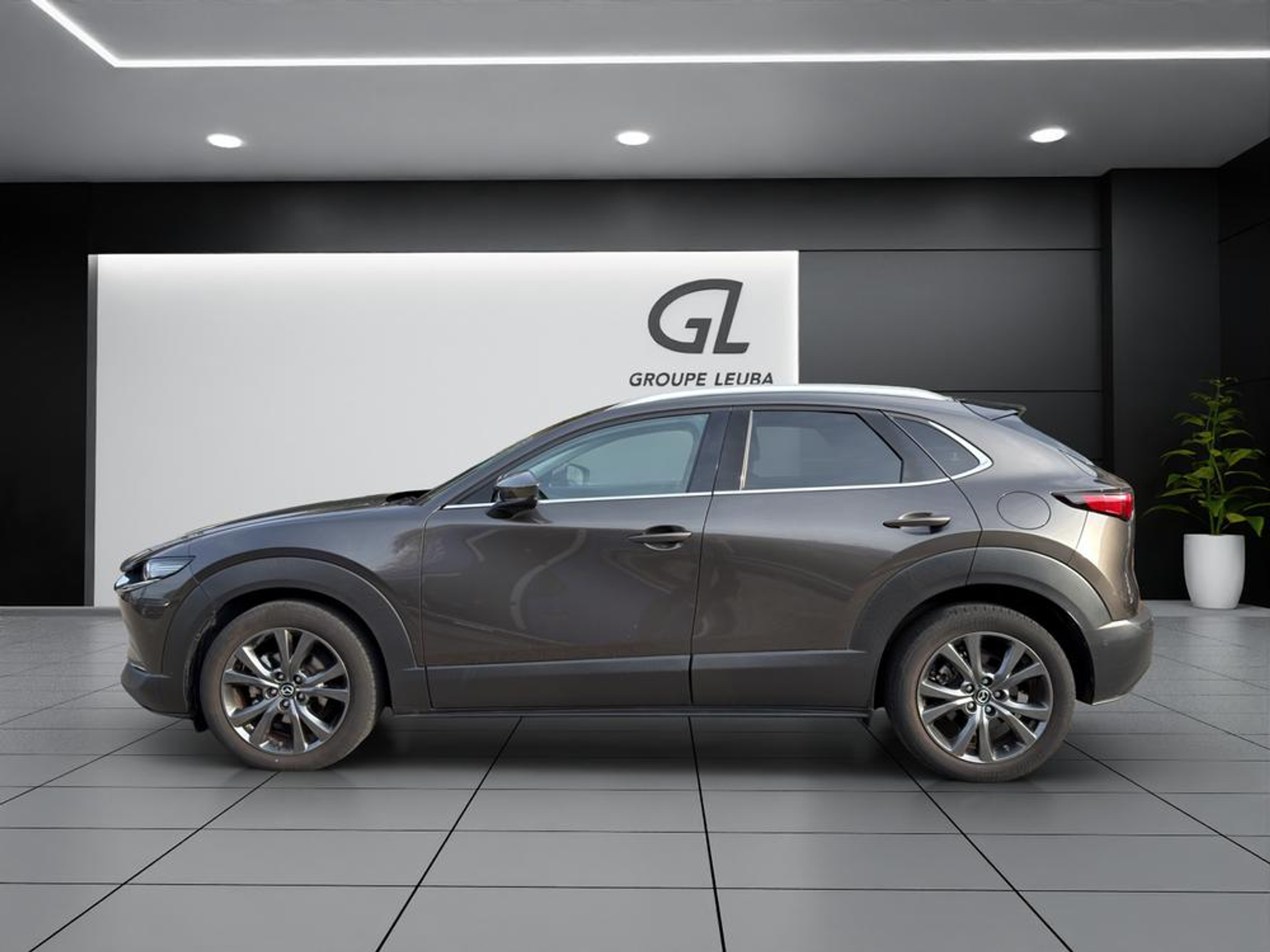 listing desktop thumbnail image 3