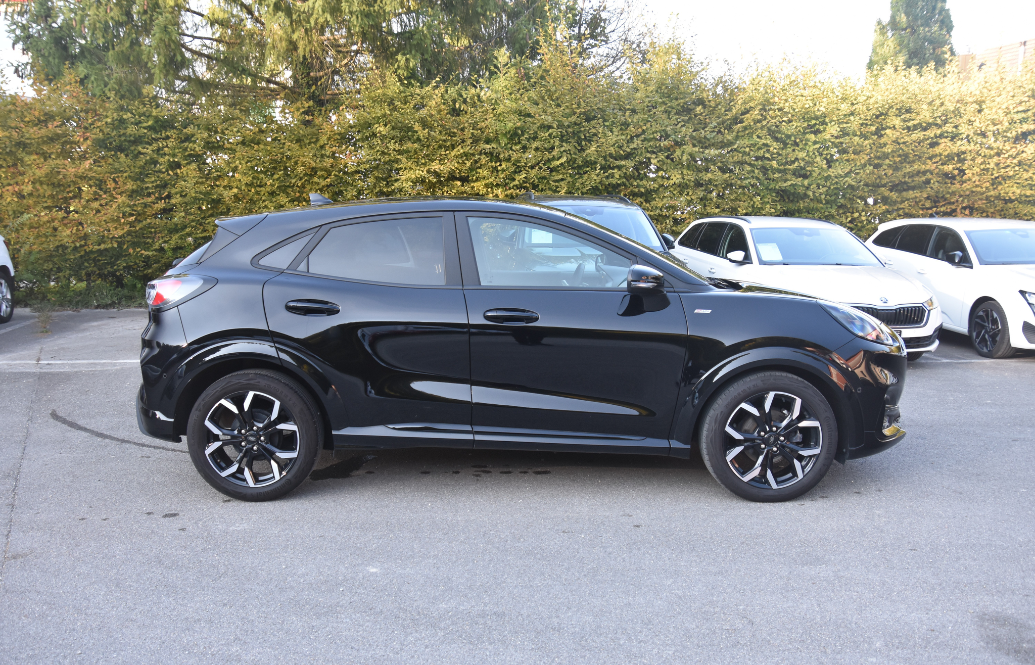 listing desktop thumbnail image 3