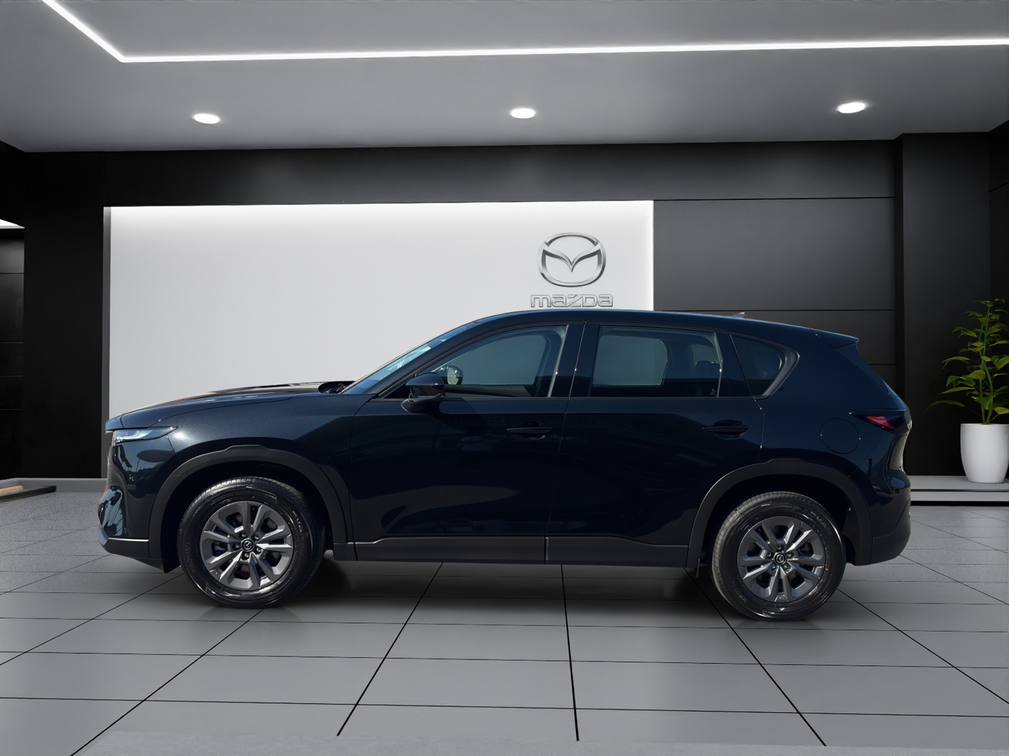 deal-image-3