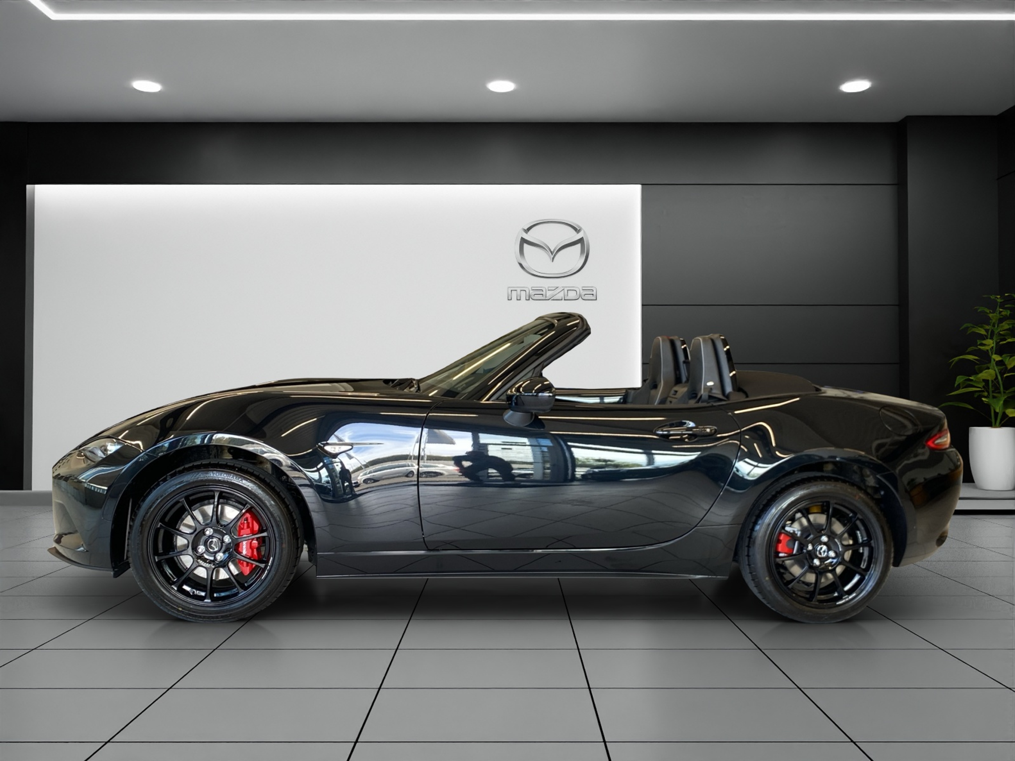 deal-image-2