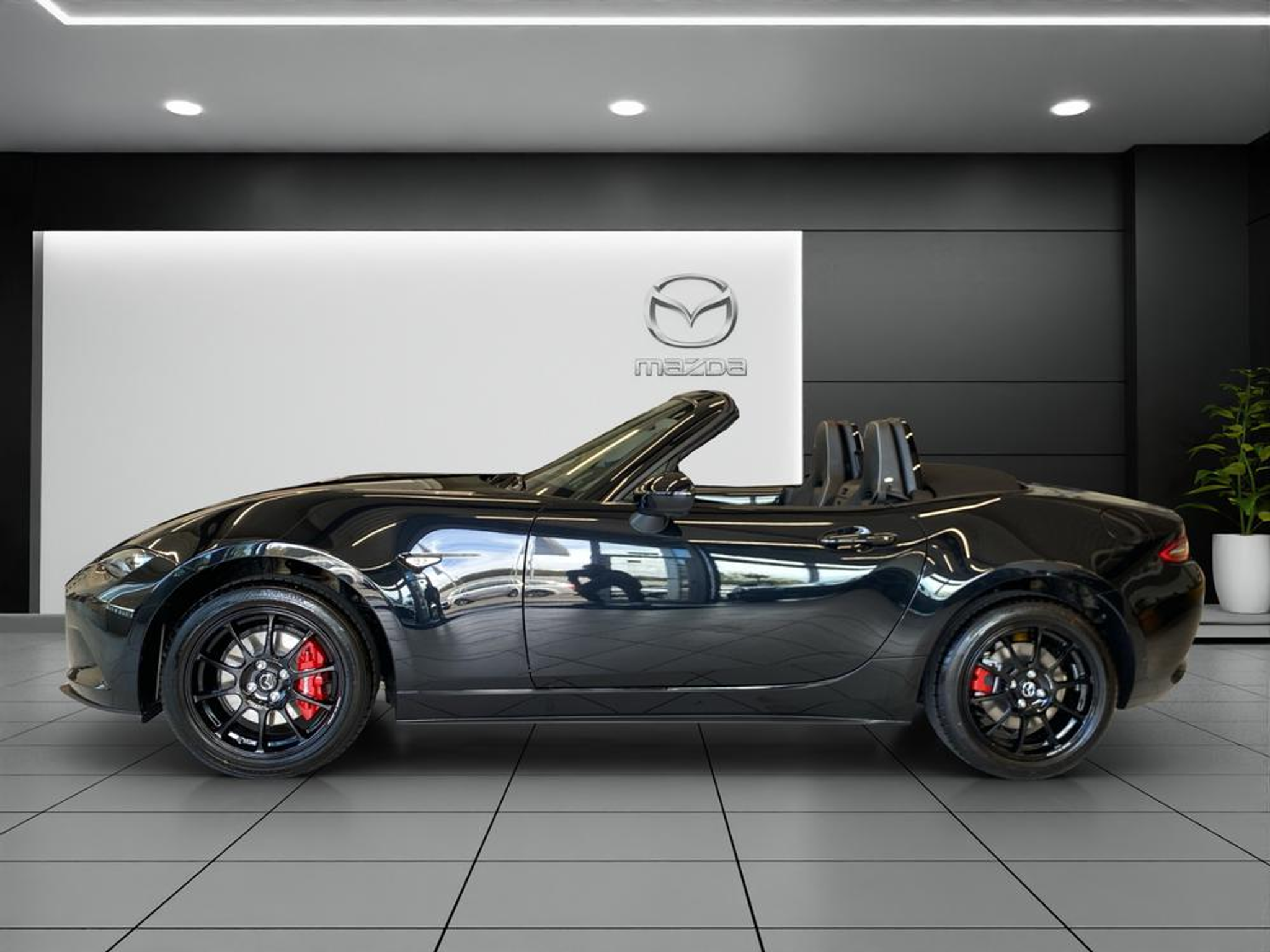 deal-image-4