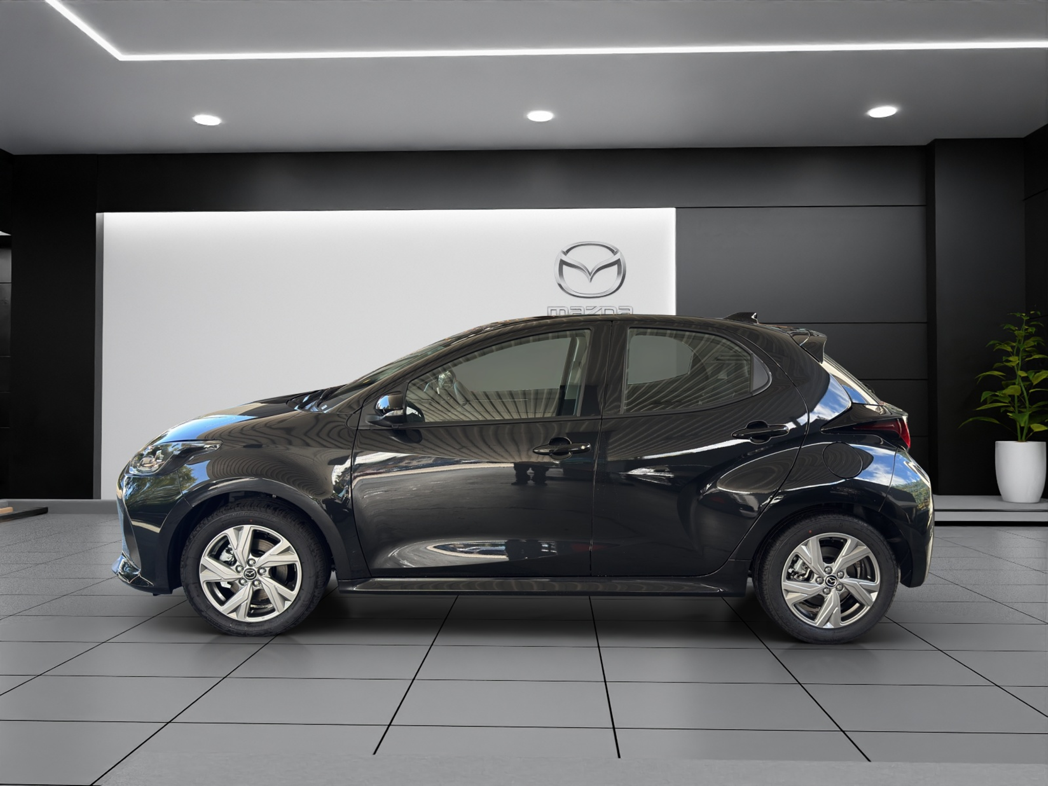 deal-image-2